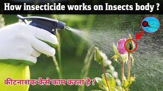 How insecticide works on insects body   contact and systemic insecticide in Hindi [upl. by Lombard905]