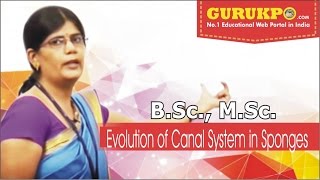 Evolution of Canal System in Sponges BSc amp MSc Zoology GuruKpo [upl. by Honor]