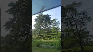 Tea garden mai pahli bar trending shorts video comedy teagarden viralvideo [upl. by Doxia]