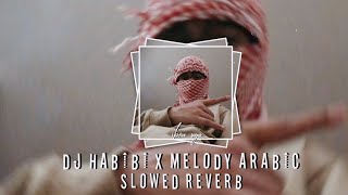 DJ FUNKOT HABIBI X MELODY ARABIC MENGKUANE Slowed reverb [upl. by Rinum913]