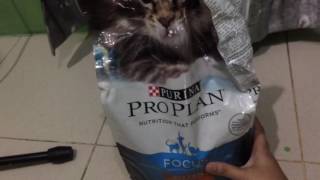 review makanan kucing pro plan kitten 318 kg [upl. by Tnattirb]