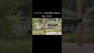 【女性ボーカル】イエス  Acid Black Cherry【歌ってみた】 [upl. by Einahteb]