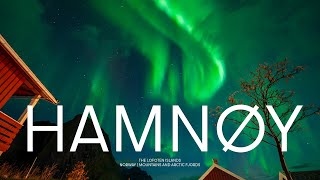 4K Aurora Borealis over Hamnøy Lofoten islands in late October [upl. by Aryad]