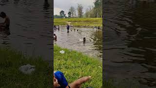 Dolphin കുഞ്ഞിനെ കണ്ടോ 😄😄 water fish river kakkayam kariyathumpara water swimming dolphin [upl. by Shantha]