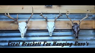 How To Hang European Skull Mounts DIY Bracketts Taxidermy Tip Of The Day diy howto homemade [upl. by Stroup]