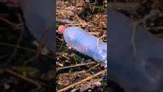 PLASTIC Pollution RAMSAR Ecosystems WHO is RESPONSIBLE [upl. by Blanc]