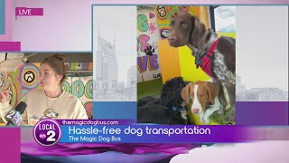 The Magic Dog Bus Is A Lifesaver For Pet Parents [upl. by Kelcey]