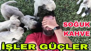 SOĞUK KAHVE BUZZİŞLER GÜÇLER KARARSIZ KOLAÇ KEYFİ [upl. by Thebazile]