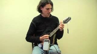 Loar Mandolin Demo  Model LM220VS [upl. by Roybn]