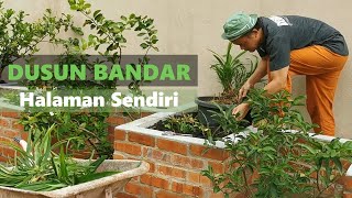 Kempen Dusun Bandar Teknik Betul Menanam Sayur dan Pokok Buah di Halaman Rumah Bandar 🙏🌿🤠 [upl. by Dorlisa]