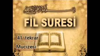 FÎL SURESİ 41 TEKRAR MUCİZESİ Ne muradin varsa o Niyetle Dinle [upl. by Eseilenna]