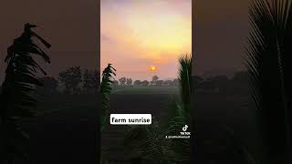 farm sunrise bulacan [upl. by Mloclam]