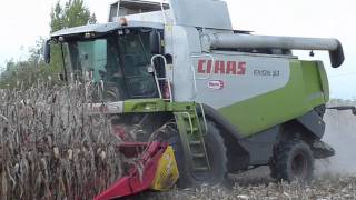 AGRIMAC  Claas Lexion 530 Mais 2010 Video 1 [upl. by Namwen432]