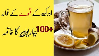 Amazing Health Benefits of Ginger Tea Urdu Hindi  Adrak Wali Chai Ke Fayde  MindfulLife0 [upl. by Libna]