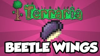 Terraria 123  Beetle Wings Item Overview Beetle Husks from Golem Boss  New Terraria Items [upl. by Norrad]