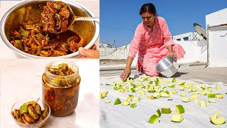 आम का असली अचार कैसे बनाते है  Mango Pickle Recipe  Traditional Aam Ka Achar  Kabitaskitcen [upl. by Izawa716]