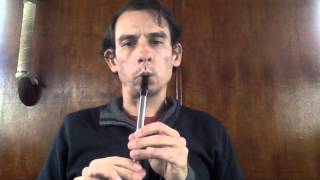 Oro Se Do Bheatha Bhaile  Tin Whistle [upl. by Loggins]