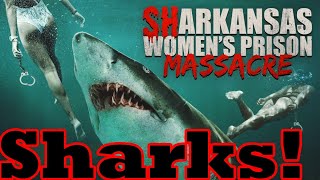 Sharkansas Womens Prison Massacre  Crazy Shark Fun [upl. by Dido689]