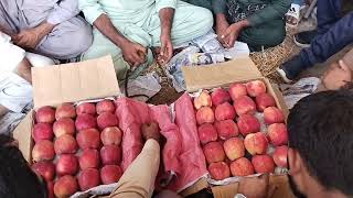 سیب کی بولی کا ریٹ دیکھیں سیالکوٹ منڈی میں 20241010 Apple update on sialkot sabzi Mandi updates [upl. by Einahpets]