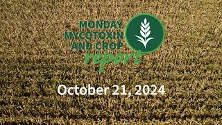 Monday Mycotoxin and Crop Report for October 21 2024 [upl. by Ran953]