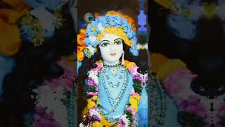 Krishna krishna kare atma meri  Jai Radhe Krishna Status 4K  shortsfeed shorts radhakrishna [upl. by Solon]