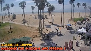 Venice Beach Webcam  Venice Beach Live Cam  venice beach live boardwalk cam [upl. by Manson]