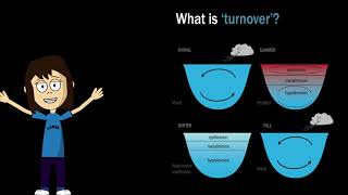 Limnology  Lake stratification and mixing [upl. by Salisbarry]