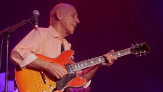 Larry Carlton  Sleepwalk [upl. by Adyela]