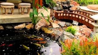 Traditional Japanese Koi Pond and Stream Landscape by San Diego Ponds [upl. by Shaddock]