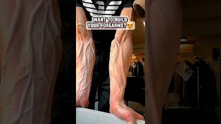 Veins workout at home  arms workout  wrist workout  hand gripper before and after  hand gripper [upl. by Sammons170]