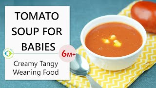 Tomato Soup 🍅for babies  Creamy Tangy Weaning Food  6 Months 👶🏻 [upl. by Nylad229]