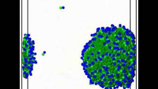 DPD simulation of coarsening dynamics of oilsurfactantwater mixtures excess oil [upl. by Aieken]