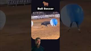 Bull vs Humans Bubble Soccer Chaos superman super shorts memes starman [upl. by Ayirp]