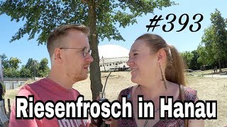 DailyVlog 393 Riesenfrosch in Hanau [upl. by Rohpotsirhc672]