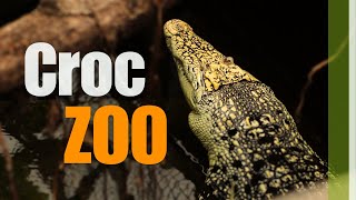 Crocodile Zoo Tour Denmark [upl. by Happy497]