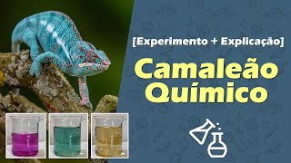 Camaleão Químico Experimento  Explicação [upl. by Cud]