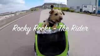 DoggyRide  Rocky Rocks The Rider [upl. by Emmalynne]