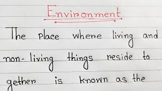 Environment The paragraph paragraph writing [upl. by Alexia]