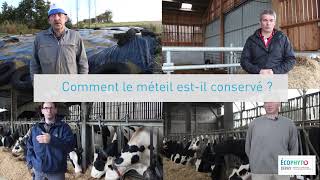 ECOPHYTO  Le méteil un nouveau fourrage pour cultiver la biodiversité [upl. by Eirellav]