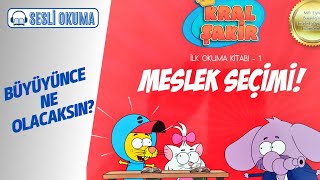 KRAL ŞAKİR MESLEK SEÇİMİ  Çocuklar İçin Sesli Okuma [upl. by Nylrad97]