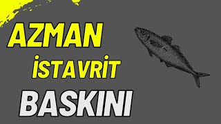 LRF İLE ATÇEK AZMAN İSTAVRİT AVI KATİL SİLİKON REİNS VE ANGELWORM [upl. by Nesnah]