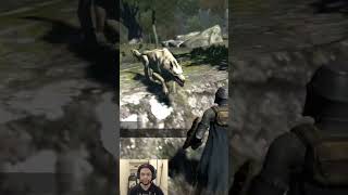 Just a casual stroll in Dragons Dogma when suddenly dragonsdogma shorts [upl. by Loux]