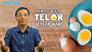 makan telor setiap hari merusak tubuh kita benarkah [upl. by Sayed963]