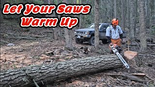 Stihl 500i Lessssssgooooooo stihl chainsawman firewood friends [upl. by Hotze]