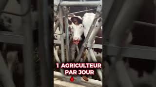 1 agriculteur tout les jours ⚰️🆘 sos agriculture élevage vache montbéliarde mort agriculteur [upl. by Musser]