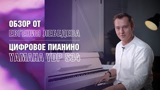 Цифровое пианино Yamaha YDP S34 Обзор Евгения Лебедева [upl. by Nauqe]