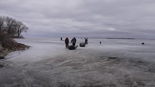 The lake is scary this year Sturgeon spearing season looks different in a year of thin ice [upl. by Anawat363]