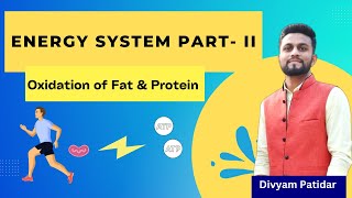 Energy System II Oxidation of Fat amp Protein  Aerobic Energy System  Exercise Physiology By Divyam [upl. by Keyes]