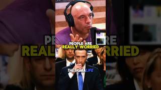 Rogan on Mark Zuckerberg Speaking Mandarin in China [upl. by Croom]