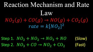 Reaction Mechanism and Rate Law  Chemistry [upl. by Assilev123]